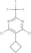 N-(4-Butylphenyl)-5-nitrofuran-2-carboxamide