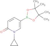 1-Cyclopropyl-6-oxo-1,6-dihydropyridine-3-boronic Acid Pinacol Ester