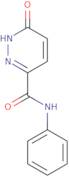 6-Oxo-N-phenyl-1,6-dihydropyridazine-3-carboxamide