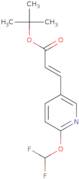 (E)-Tert-Butyl 3-(-6(Difluoromethoxy)Pyridin-3-Yl)Acrylate