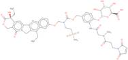 Mac glucuronide phenol-linked sn-38