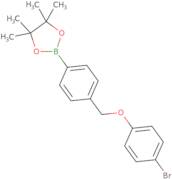 2-{4-[(4-Bromophenoxy)methyl]phenyl}-4,4,5,5-tetramethyl-1,3,2-dioxaborolane