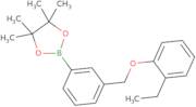 2-(3-((2-Ethylphenoxy)methyl)phenyl)-4,4,5,5-tetramethyl-1,3,2-dioxaborolane