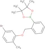 2-{2-[(5-Bromo-2-methylphenoxy)methyl]phenyl}-4,4,5,5-tetramethyl-1,3,2-dioxaborolane