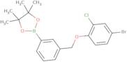 2-{3-[(4-Bromo-2-chlorophenoxy)methyl]phenyl}-4,4,5,5-tetramethyl-1,3,2-dioxaborolane