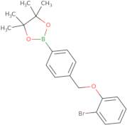 2-{4-[(2-Bromophenoxy)methyl]phenyl}-4,4,5,5-tetramethyl-1,3,2-dioxaborolane