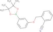 2-{[3-(4,4,5,5-Tetramethyl-1,3,2-dioxaborolan-2-yl)phenoxy]methyl}benzonitrile