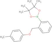 4,4,5,5-Tetramethyl-2-{2-[(4-methylphenoxy)methyl]phenyl}-1,3,2-dioxaborolane