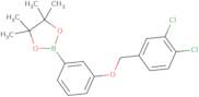 2-{3-[(3,4-Dichlorophenyl)methoxy]phenyl}-4,4,5,5-tetramethyl-1,3,2-dioxaborolane