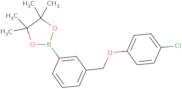 2-{3-[(4-Chlorophenoxy)methyl]phenyl}-4,4,5,5-tetramethyl-1,3,2-dioxaborolane