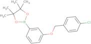 2-{3-[(4-Chlorophenyl)methoxy]phenyl}-4,4,5,5-tetramethyl-1,3,2-dioxaborolane