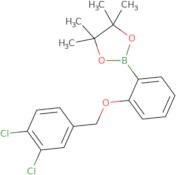 2-{2-[(3,4-Dichlorophenyl)methoxy]phenyl}-4,4,5,5-tetramethyl-1,3,2-dioxaborolane