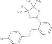 2-(2-((4-Chlorophenoxy)methyl)phenyl)-4,4,5,5-tetramethyl-1,3,2-dioxaborolane