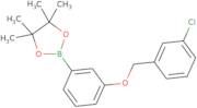 2-{3-[(3-Chlorophenyl)methoxy]phenyl}-4,4,5,5-tetramethyl-1,3,2-dioxaborolane