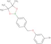 2-{4-[(3-Bromophenoxy)methyl]phenyl}-4,4,5,5-tetramethyl-1,3,2-dioxaborolane