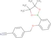 4-[2-(4,4,5,5-Tetramethyl-[1,3,2]dioxaborolan-2-yl)-phenoxymethyl]-benzonitrile