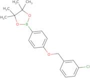 2-{4-[(3-Chlorophenyl)methoxy]phenyl}-4,4,5,5-tetramethyl-1,3,2-dioxaborolane