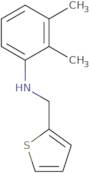 2,3-Dimethyl-N-(2-thienylmethyl)aniline