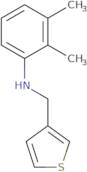 2,3-Dimethyl-N-(thiophen-3-ylmethyl)aniline