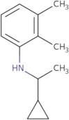 N-(1-Cyclopropylethyl)-2,3-dimethylaniline