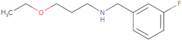 (3-Ethoxypropyl)[(3-fluorophenyl)methyl]amine