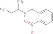 (Butan-2-yl)[(2-nitrophenyl)methyl]amine