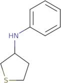 N-Phenylthiolan-3-amine