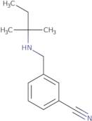 3-{[(2-Methylbutan-2-yl)amino]methyl}benzonitrile