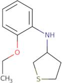 N-(2-Ethoxyphenyl)thiolan-3-amine