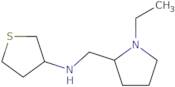 N-[(1-Ethylpyrrolidin-2-yl)methyl]thiolan-3-amine