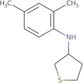 N-(2,4-Dimethylphenyl)thiolan-3-amine