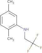 (2,5-Dimethyl-phenyl)-(2,2,2-trifluoro-ethyl)-amine