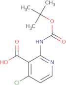 2-(tert-Butoxycarbonylamino)-4-chloronicotinic acid