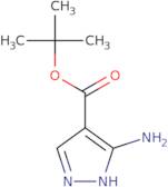 tert-Butyl 3-amino-1H-pyrazole-4-carboxylate