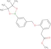 Methyl 2-(2-((3-(4,4,5,5-tetramethyl-1,3,2-dioxaborolan-2-yl)benzyl)oxy)phenyl)acetate