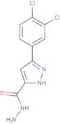 5-(3,4-Dichloro-phenyl)-1H-pyrazole-3-carboxylic acid hydrazide