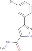 5-(3-Bromophenyl)-1H-pyrazole-3-carbohydrazide