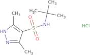 N-tert-Butyl-3,5-dimethyl-1H-pyrazole-4-sulfonamide hydrochloride