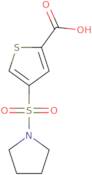 4-(Pyrrolidin-1-ylsulfonyl)thiophene-2-carboxylic acid