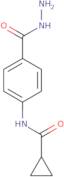 N-[4-(Hydrazinocarbonyl)phenyl]-cyclopropanecarboxamide