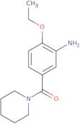 2-Ethoxy-5-(piperidine-1-carbonyl)aniline