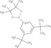 2-(3,5-Di-tert-butylphenyl)-4,4,5,5-tetramethyl-1,3,2-dioxaborolane