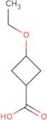 3-Ethoxycyclobutane-1-carboxylic acid