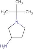 1-tert-Butylpyrrolidin-3-amine