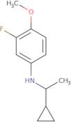 N-(1-Cyclopropylethyl)-3-fluoro-4-methoxyaniline