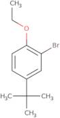 2-Bromo-4-t-butyl-1-ethoxybenzene