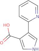 4-(Pyridin-2-yl)-1H-pyrrole-3-carboxylic acid