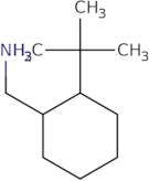 (2-tert-Butylcyclohexyl)methanamine