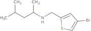 N-[(4-Bromothiophen-2-yl)methyl]-4-methylpentan-2-amine