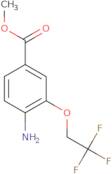 Methyl 4-amino-3-(2,2,2-trifluoroethoxy)benzoate